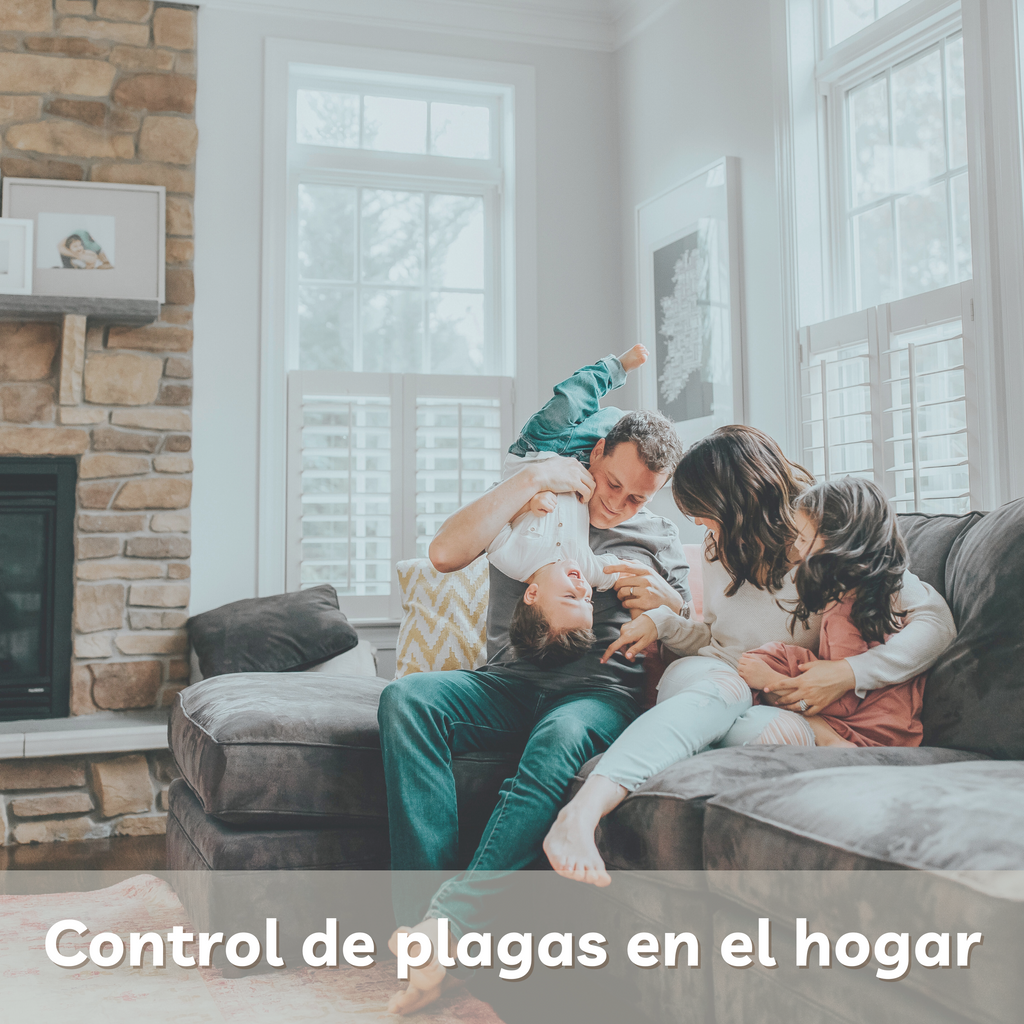 Control de plagas en el hogar